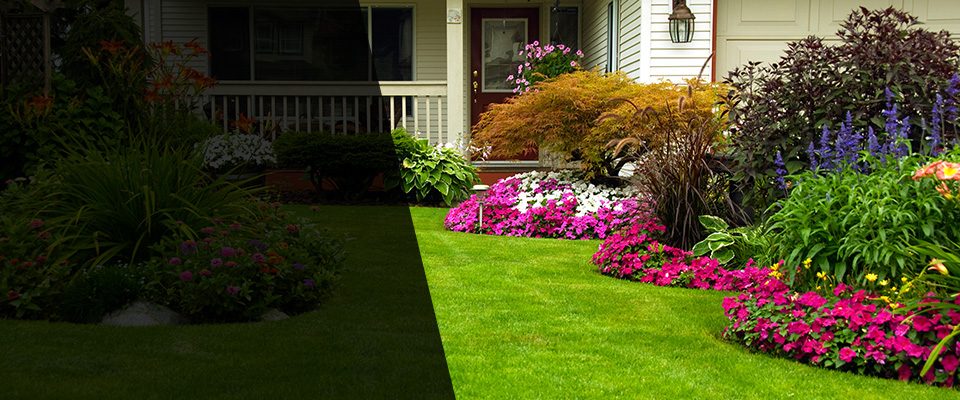 Redondo Beach Landscapers