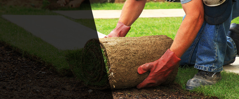 Redondo Beach Landscapers